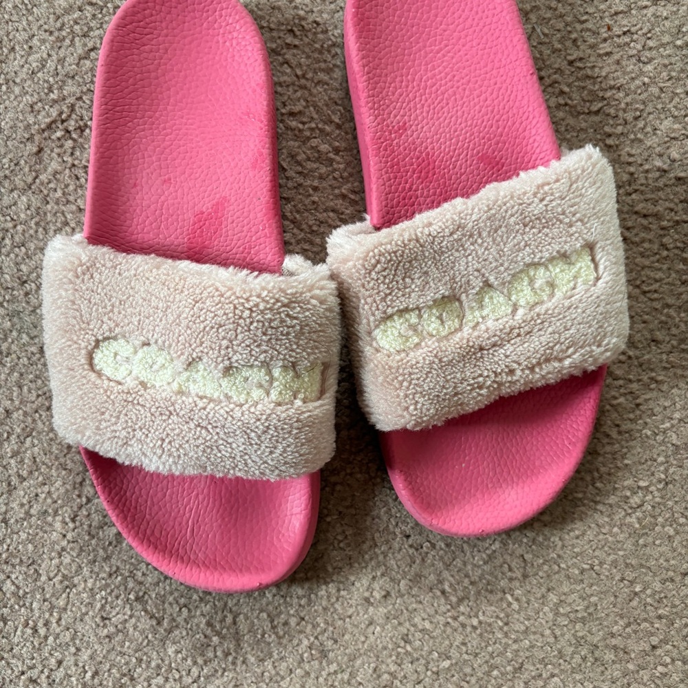 Coach slides